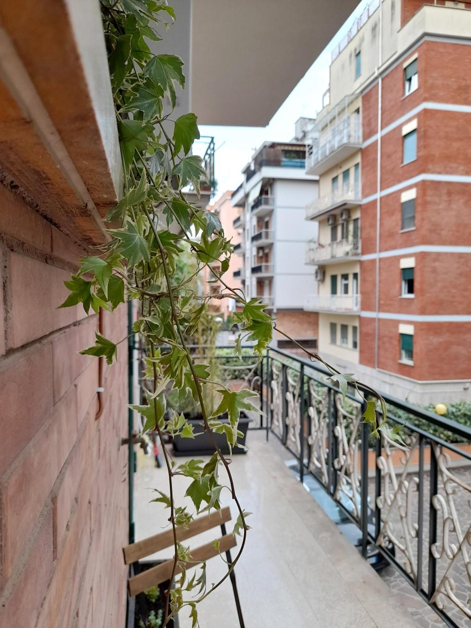 Amber House N.5 - Incantevole Accogliente Luminosa Apartamento *